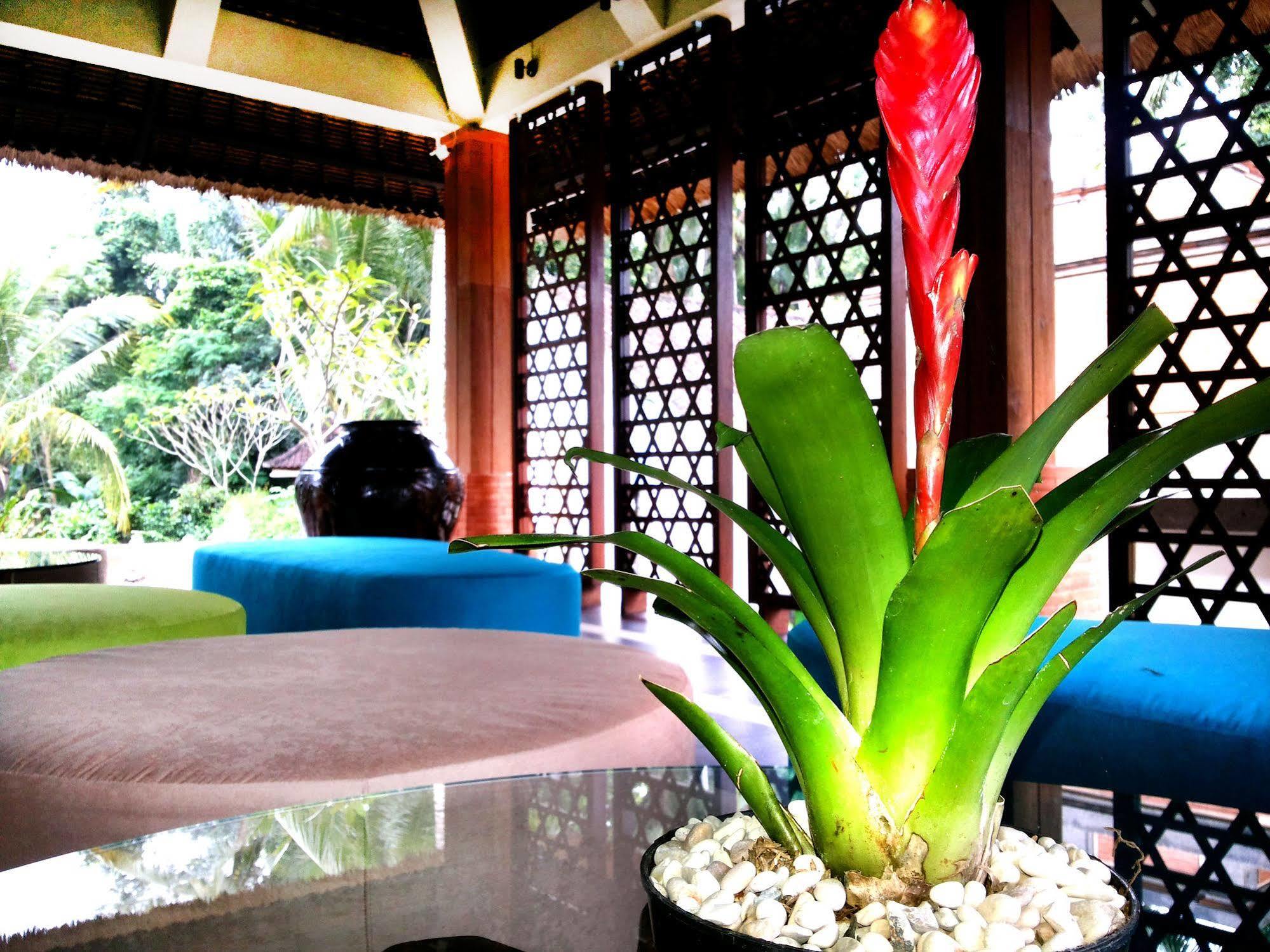Full Moon Villa Ubud Exteriér fotografie
